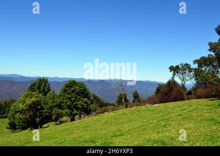 Ein Blick auf die New England Tablelands vom Griffiths Lookout, NSW Stockfoto