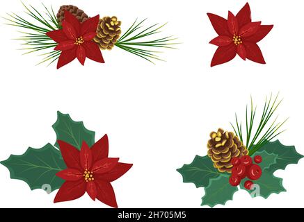 Set von Weihnachten floristischen Kompositionen, Winter festliche Dekorationen für Neujahr und Geschenk. Weihnachtliche rote Weihnachtsblume mit Kiefernnadeln, Stechblättern und goldenem Kegel Stock Vektor