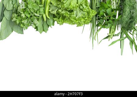 Blätter isolieren verschiedene Grünarten auf weißem Hintergrund. Stockfoto