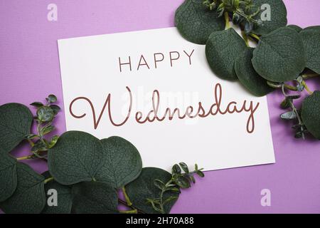 Happy Wednesday Textdekoration mit Eukalyptusblättern auf violettem Hintergrund Stockfoto