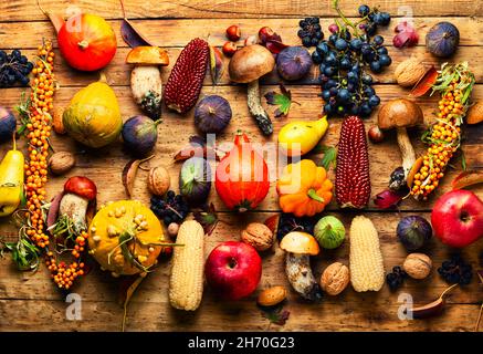 Sammlung von Herbstfrüchten, Gemüse und Beeren.Herbst Natur Konzept auf Holzoberfläche.Veganes Essen Stockfoto
