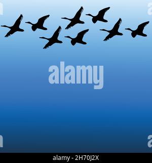 Zugvögel am Himmel Silhouette Farbe Vektor Illustration Stock Vektor