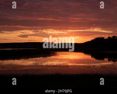 Die dunkle Silhouette des Waldes am Flussufer bei Sonnenuntergang Stockfoto