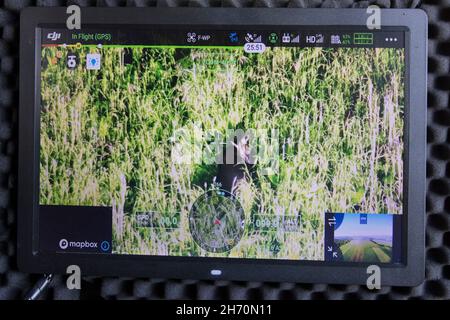 Rehe (Capreolus caprolus). Fawn auf dem Monitor entdeckt mit Hilfe der Wärmebildkamera. Deutschland Stockfoto