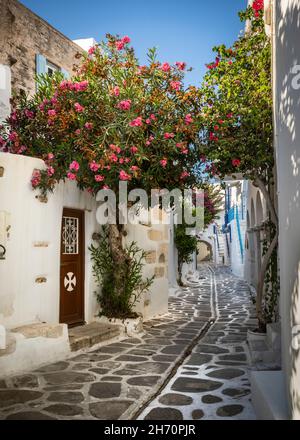 Paros ist eine griechische Insel in der Ägäis, die für ihre Strände und traditionellen Dörfer bekannt ist. Parikia, die Hauptstadt an der Bucht, ist eine Bootstour für die Cyc Stockfoto