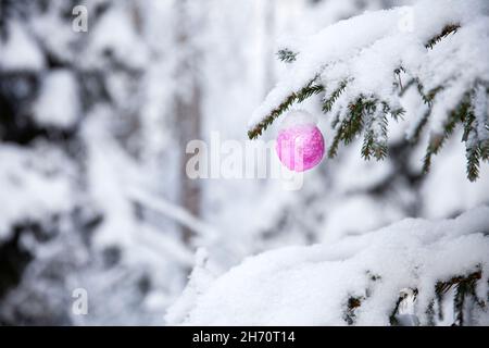 Weihnachtskugel auf verschneiten Weihnachtsbaum Stockfoto