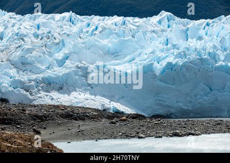 LOS GLACIARES NATIONALPARK, ARGENTINIEN - 26. JANUAR 2019: Eine Person geht zum Perito Moreno Gletscher Stockfoto