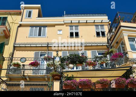 façade eines typischen Hauses mit Blick auf die Uferpromenade von Alassio mit blühenden Balkonen an einem sonnigen Sommertag, Savona, Ligurien, Italien Stockfoto