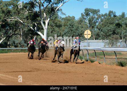 Australien. Northern Territory. Pferderennen auf Feldwegen. Stockfoto