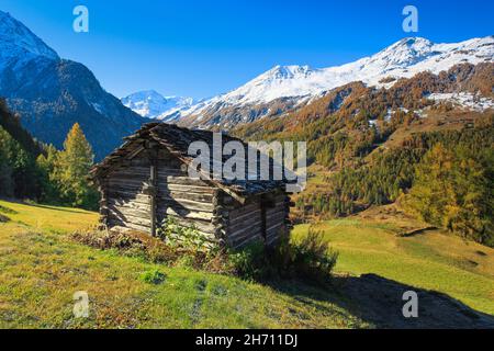 Berghütte im krautigen Val d'Herens mit dem schneebedeckten Pigne d'Arolla im Hintergrund, Kanton Wallis, Schweiz Stockfoto