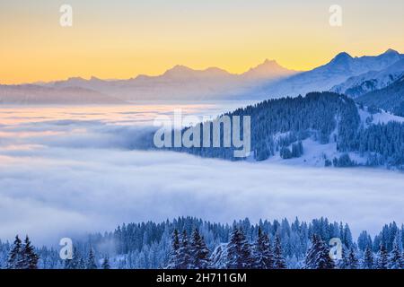 Schweizer Voralpen und Alpen mit Schreckhorn (4078 m), Eiger (3974 m) und Mönch (4099 m) am Morgen. Blick von Gurnigel, Schweiz. Stockfoto