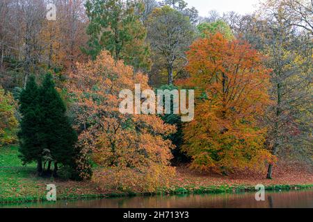 Bäume an einem See im Herbst in Wiltshire Stockfoto