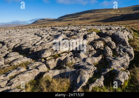 Kalksteinpflaster ist eine natürliche Karstlandform, die aus einer flachen, eingeschnittenen Oberfläche aus freiliegendem Kalkstein besteht, die einem künstlichen Pflaster ähnelt Stockfoto