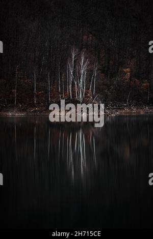 Schöne Aussicht auf eine Waldspiegelung über einem See im Spätherbst in der Nacht Stockfoto