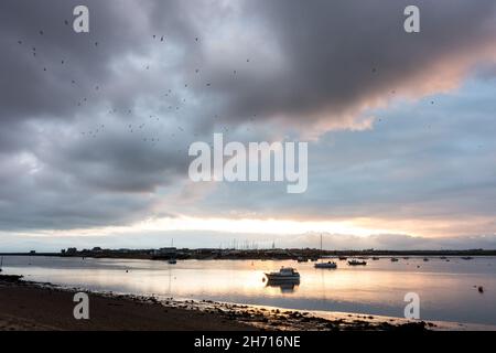 Blick auf den Fluss Deben in Suffolk von Bawdsey auf Old Felixstowe. Stockfoto