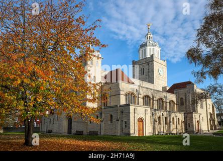 Die Kathedrale von Portsmouth im Herbst, Portsmouth, Hampshire, Großbritannien Stockfoto