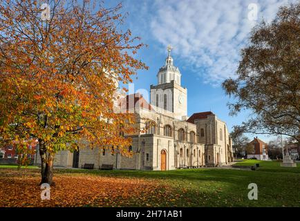 Die Kathedrale von Portsmouth im Herbst, Portsmouth, Hampshire, Großbritannien Stockfoto