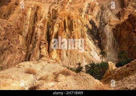 Blick auf die Bergoase von Shebika, mitten in der Sahara-Wüste, Tunesien Stockfoto