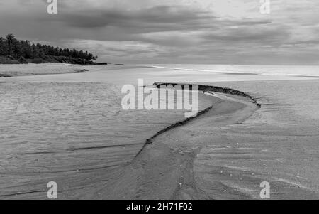 Sandstrand, flankiert von ein paar Palmen und dem Arabischen Meer bei Ebbe und alles unter einem bewölkten Himmel in der Dämmerung entlang des Dorfes Thottada, Kannur, Kerala, Indien. Stockfoto