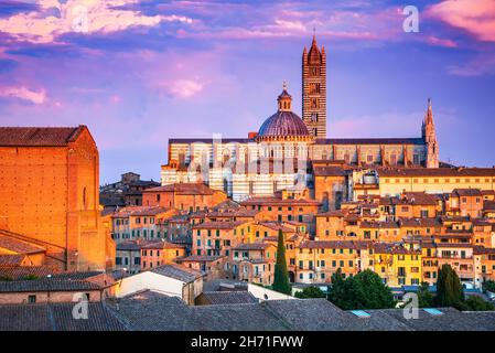 Siena, Italien. Sommerlandschaft von Siena, eine schöne mittelalterliche Stadt in der Toskana, mit Blick auf den Sonnenuntergang der Kathedrale. Stockfoto