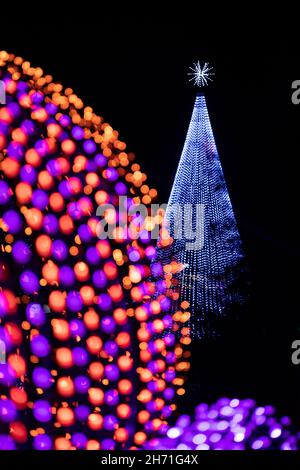 Beleuchtete Weihnachtsbaum im Winter Lights Event an der North Carolina Arboretum - Asheville, North Carolina, USA Stockfoto