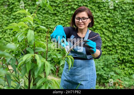 Frau in Handschuhen mit Gartenscheren, die den Frühjahrsschnitt von trockenen Zweigen auf dem Pfirsichbaum macht Stockfoto