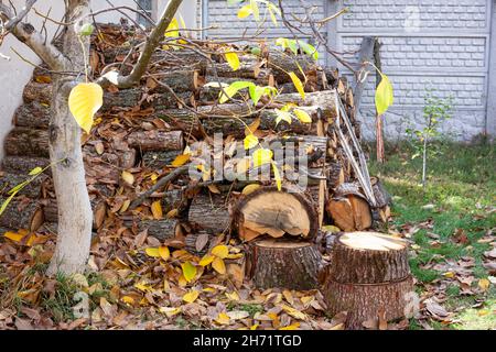 Stapel Natur-Brennholz für die Beheizung des Hauses bei kaltem Winterwetter. Bereiten Sie Brennholz für den nächsten Winter im Voraus vor Stockfoto