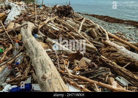 Plastikflaschen, Baumstämme und andere Trümmer an der felsigen Küste. Müll am Strand nach dem Sturm. Das Konzept der Ökologie. Nahaufnahme Stockfoto