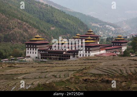 Vor dem Thimphu Dzong in Thimphu, Bhutan, werden Reisfelder für die Pflanzung vorbereitet. Stockfoto