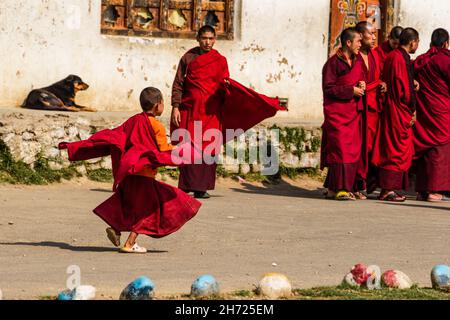 Ein junger buddhistischer Novizenmönch läuft an der Dechen Phodrang Klosterschule in Thimphu, Bhutan, um sich in eine Schlange zu stellen. Stockfoto