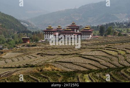 Vor dem Thimphu Dzong in Thimphu, Bhutan, werden Reisfelder für die Pflanzung vorbereitet. Am Horizont steht die riesige Buddha-Dordenma-Statue. Stockfoto