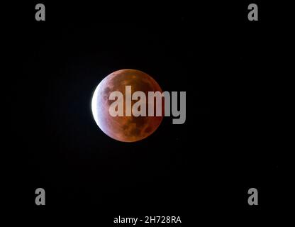 Ansicht der nahezu totalen Mondfinsternis am 19. November 2021, wie sie im Osten der Vereinigten Staaten zu sehen ist. Stockfoto