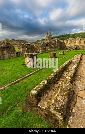 Byland Abbey im North York Moors National Park, Yorkshire, England Stockfoto