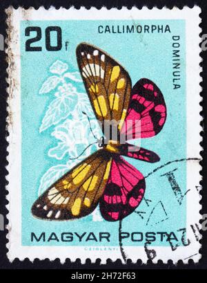 UNGARN - UM 1966: Eine in Ungarn gedruckte Briefmarke zeigt Callimorpha Dominula, Butterfly, um 1966 Stockfoto