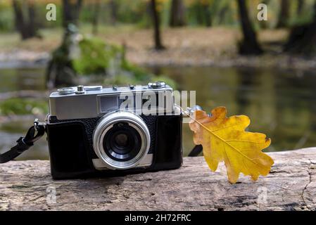 Vintage-Kamera mit gelbem Blatt liegt auf einem Ast im Wald neben dem Fluss. Herbstkonzept. Stockfoto