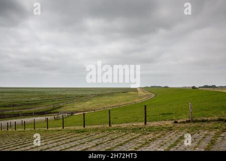 Grüne flache Salzwiesen in der Nähe der Nordsee Stockfoto