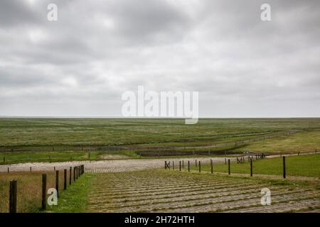 Grüne flache Salzwiesen in der Nähe der Nordsee Stockfoto