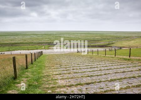 Grüne flache Salzwiesen in der Nähe der Nordsee Stockfoto