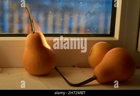 Nahaufnahme von drei Miniatur-Orangen-Kürbissen Stockfoto