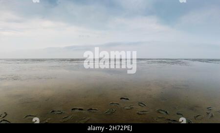 Spuren im Schlamm der Nordsee bei Ebbe Stockfoto