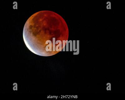 Warminster, USA. 19th. November 2021. Eine partielle Mondfinsternis wird am Freitag, den 19. November 2021 in Warminster, Pennsylvania, gesehen. ( Kredit: William Thomas Cain/Alamy Live News Stockfoto