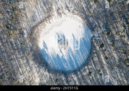 Runder See mit Insel in der Mitte zwischen mit Schnee bedeckten Wäldern, Luftlandschaft im Winter Stockfoto
