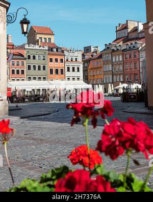 Warschauer Altstadt, Blick auf einen Sommertag mit schönen Blumen mit Blick auf den Altstädter Ring im historischen Viertel Stare Miasto in Warschau. Stockfoto