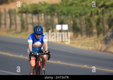 Fahren Sie auf dem Silverado-Radweg in der Weinregion Napa Valley im Norden Kaliforniens mit normalem Fahrrad und rekombinantem Fahrrad, zwischen Weintrauben und Autos Stockfoto