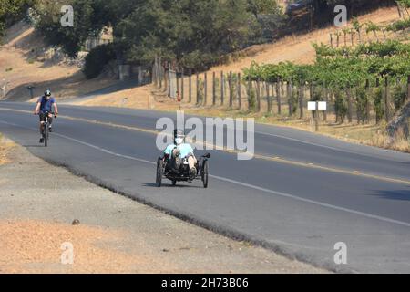 Fahren Sie auf dem Silverado-Radweg in der Weinregion Napa Valley im Norden Kaliforniens mit normalem Fahrrad und rekombinantem Fahrrad, zwischen Weintrauben und Autos Stockfoto