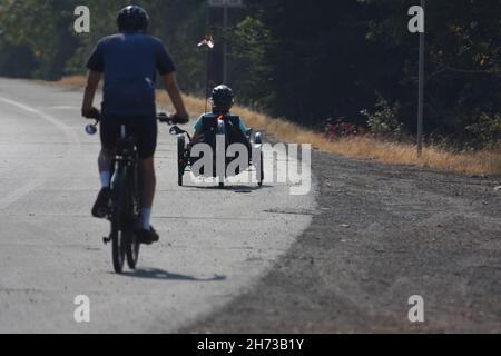 Fahren Sie auf dem Silverado-Radweg in der Weinregion Napa Valley im Norden Kaliforniens mit normalem Fahrrad und rekombinantem Fahrrad, zwischen Weintrauben und Autos Stockfoto