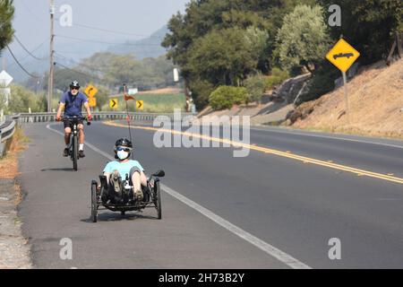 Fahren Sie auf dem Silverado-Radweg in der Weinregion Napa Valley im Norden Kaliforniens mit normalem Fahrrad und rekombinantem Fahrrad, zwischen Weintrauben und Autos Stockfoto