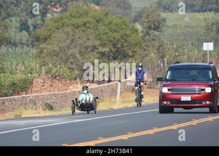 Fahren Sie auf dem Silverado-Radweg in der Weinregion Napa Valley im Norden Kaliforniens mit normalem Fahrrad und rekombinantem Fahrrad, zwischen Weintrauben und Autos Stockfoto