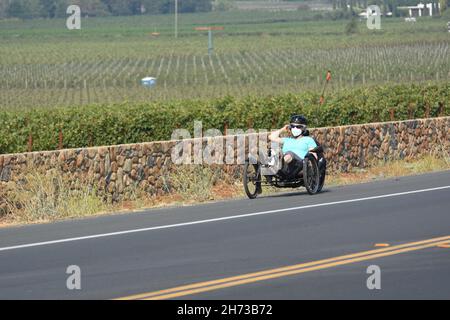 Fahren Sie auf dem Silverado-Radweg in der Weinregion Napa Valley im Norden Kaliforniens mit normalem Fahrrad und rekombinantem Fahrrad, zwischen Weintrauben und Autos Stockfoto