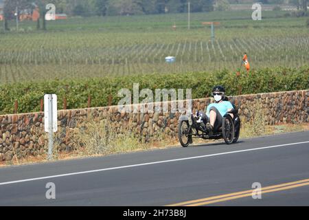 Fahren Sie auf dem Silverado-Radweg in der Weinregion Napa Valley im Norden Kaliforniens mit normalem Fahrrad und rekombinantem Fahrrad, zwischen Weintrauben und Autos Stockfoto